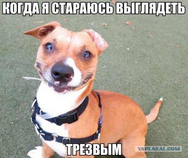 Поднимаем настроение
