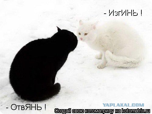 Немного смешных картинок из сети