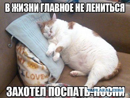 Что такое лень