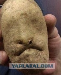 Продуктовые шалости