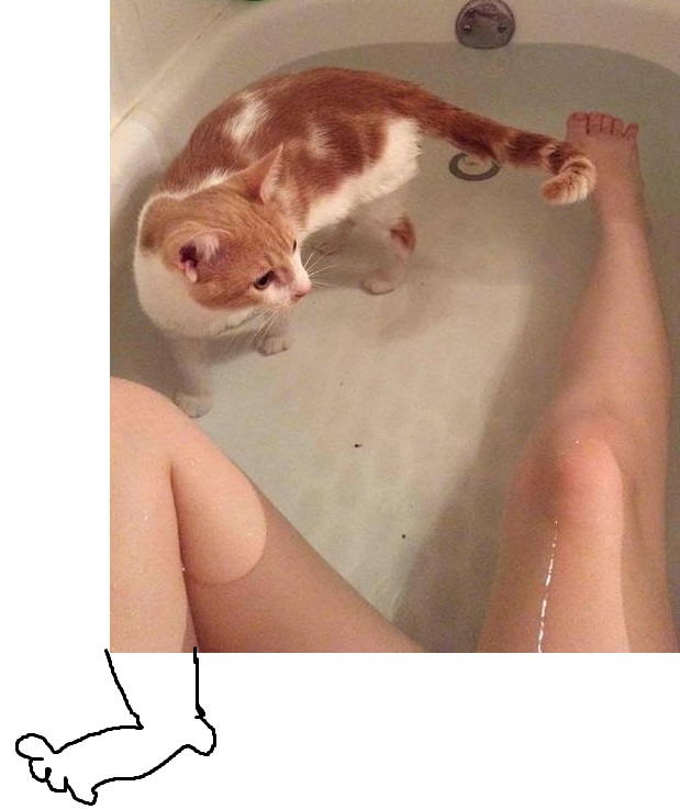 Моя кошка любит принимать ванну вместе со мной