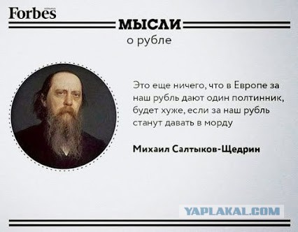 4107903.jpg