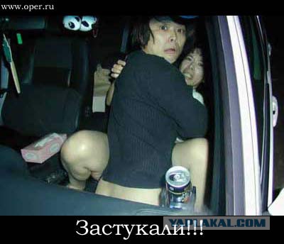 Прикольные картинки.