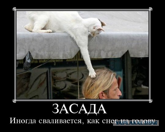 Беспредел, отжали жильё