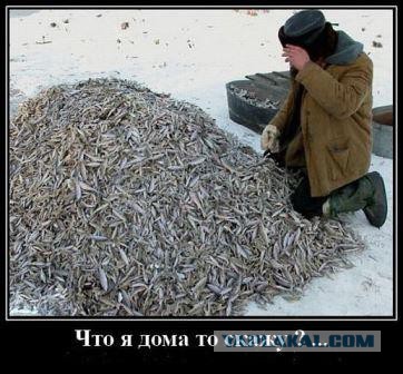 Клёв пошёл....