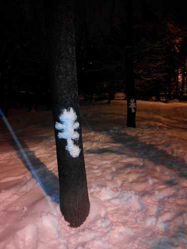 Котовторник 27.01.2015