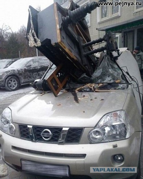 Смешные картинки