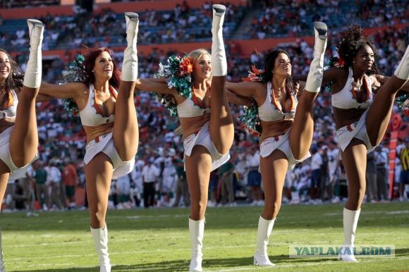Группа поддержки Miami Dolphins