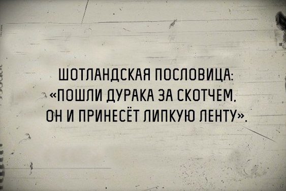 Веселости которые встретились сегодня