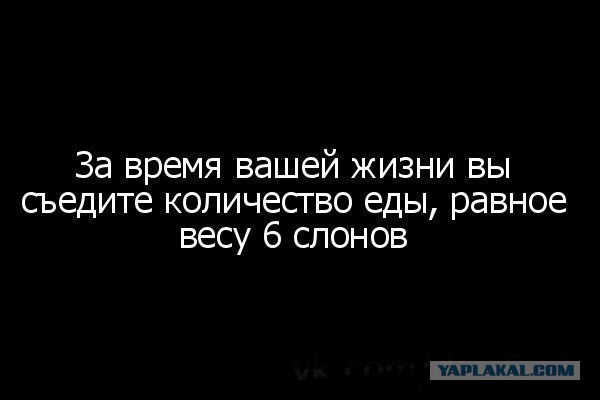 А вы знали?