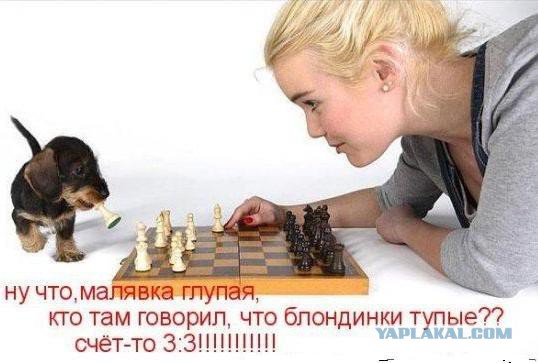 Сыграем партию?