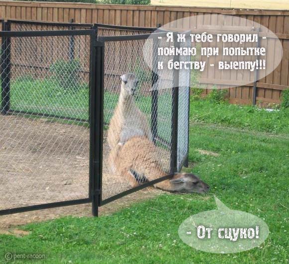 Картинки разные