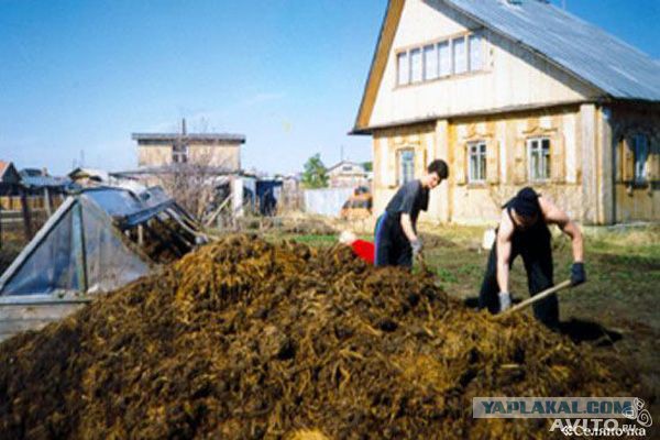 Бизнесмен Гриша ищет помощницу и соратницу