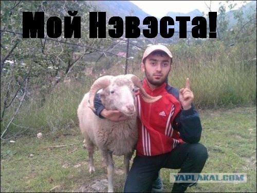 Картинки разные с интернету