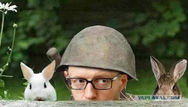 Яценюк: Украине не хватит запаса угля на зиму