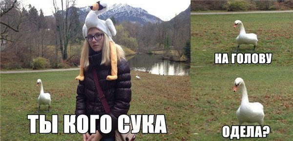 Злые шутки или минутка сарказма на ЯП-е, 16+