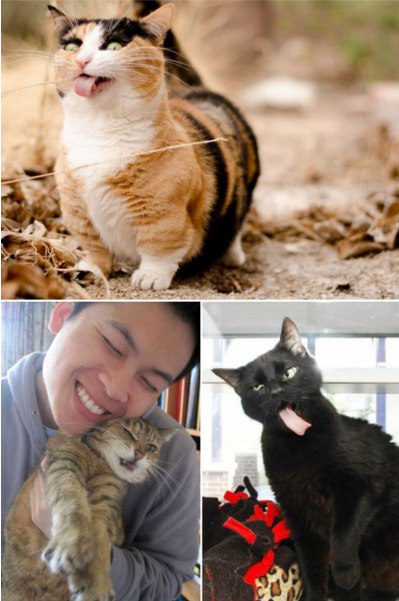 Подборка картинок на среду