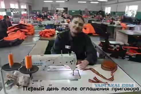 Приземлилась недолетчица. Савченко признали виновной