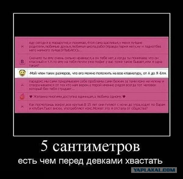 Подборка красивых и веселых картинок