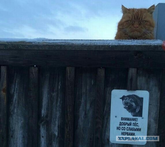 Подборка интересных и красивых фото