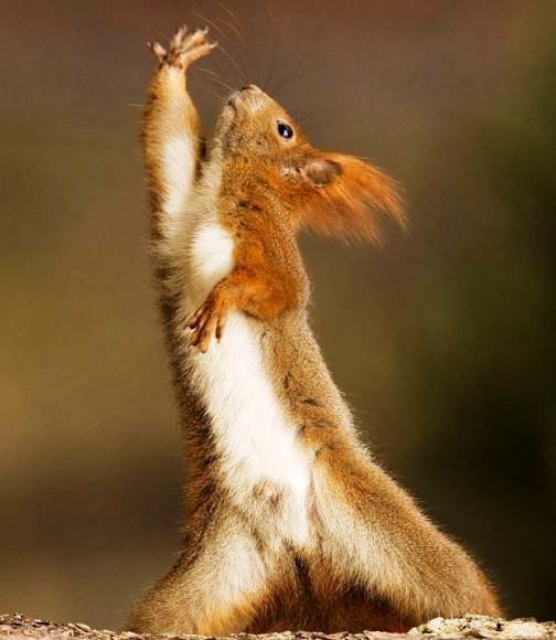 Веселые картинки ч.3