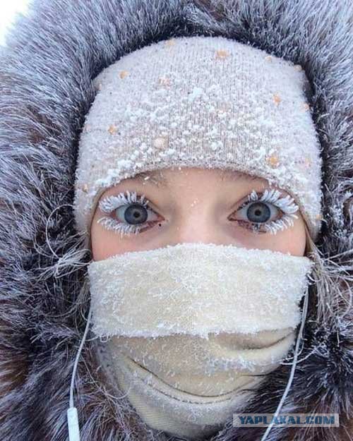 Этот ВЗГЛЯД!