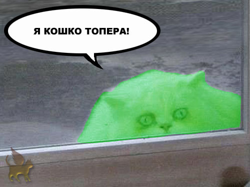 Барсик и Кеша (жесть)