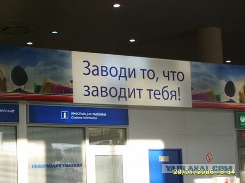 Весёлые картинки