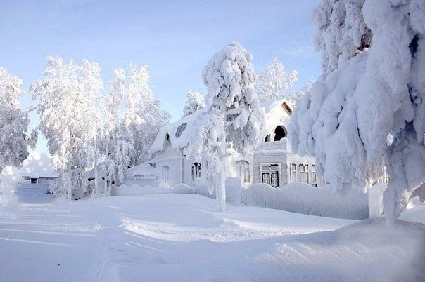 Моменты, запечатлённые на фото и просто позитив 5
