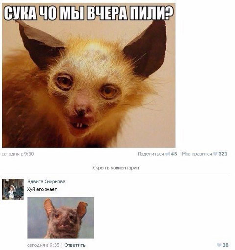 Приколы в стиле "регресс"