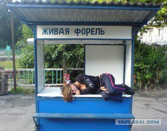Позорно из соцсетей 2