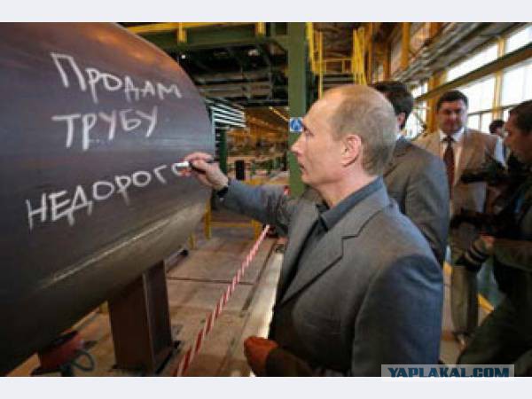 Путин пожаловался на загадочный сбор биоматериала всех россиян