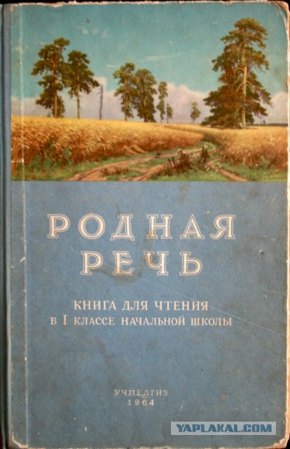 Учителям на Урале запретили с 1 декабря называть русский язык родным