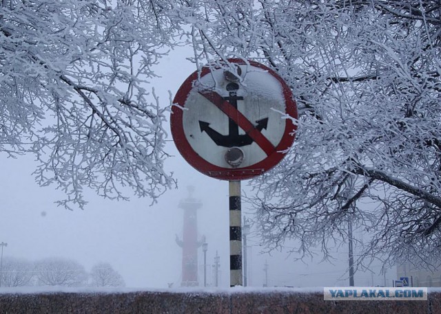 Это не дом, а судно!