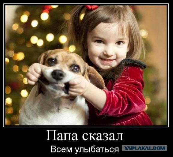 Просто юмор №28