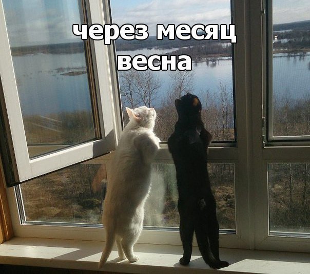 Оп! Деградация подоспела, разбирайте!