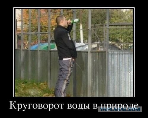 Как обычный сифон превратить в вечный двигатель