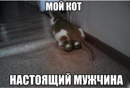 Порция стандартного деграюмора