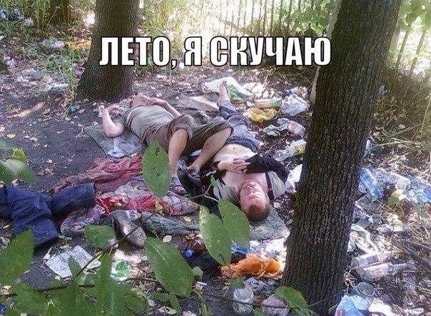 Скотсети и прочие интернеты 13.06.18