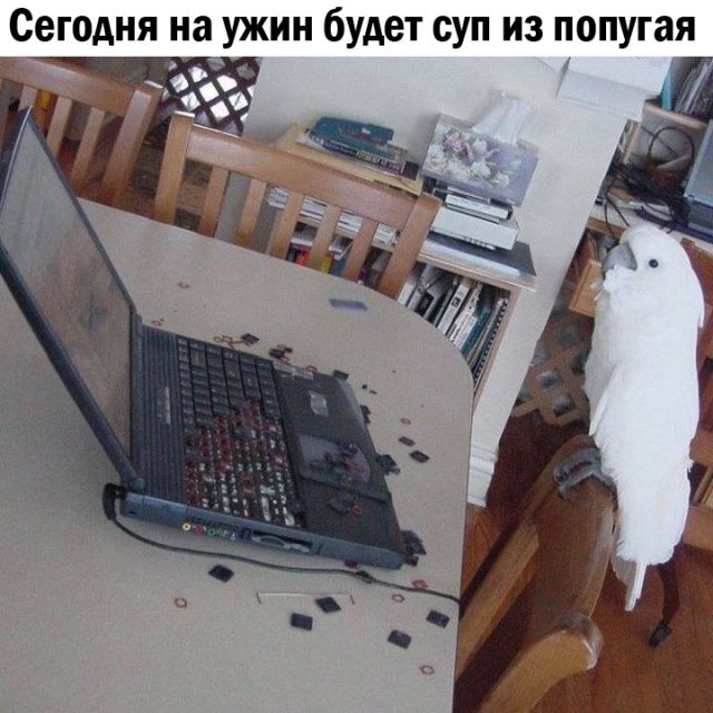Нестандартный юмор