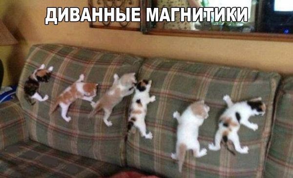 Специфический юмор