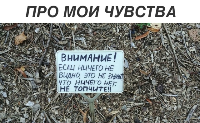 Прикольные картинки абавсём