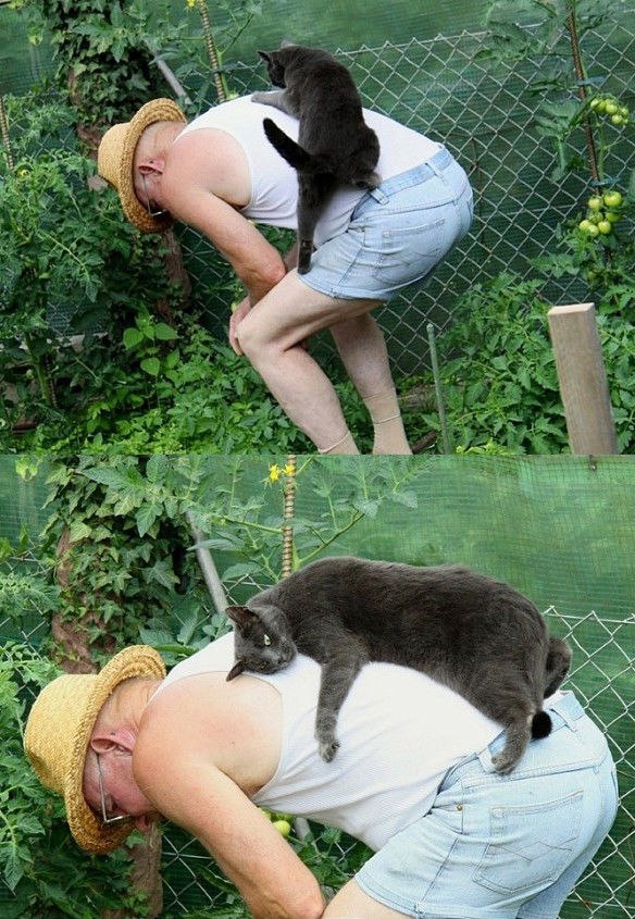 Немного милоты