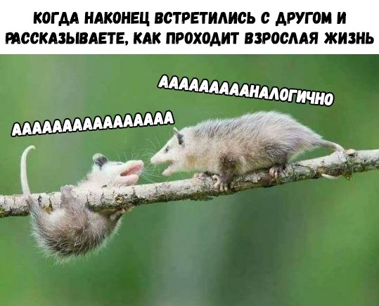 Нестандартный юмор