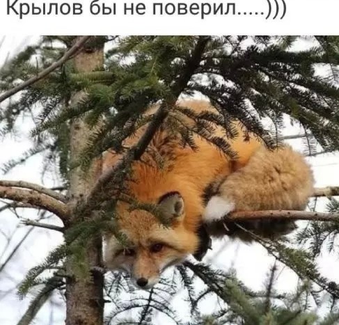 Немного картинок на вечер