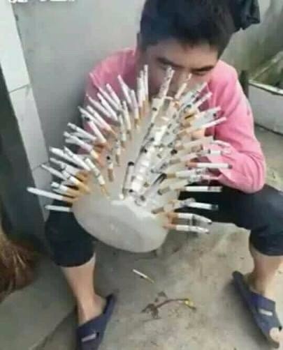 Скотсети и прочие интернеты 04.03.19