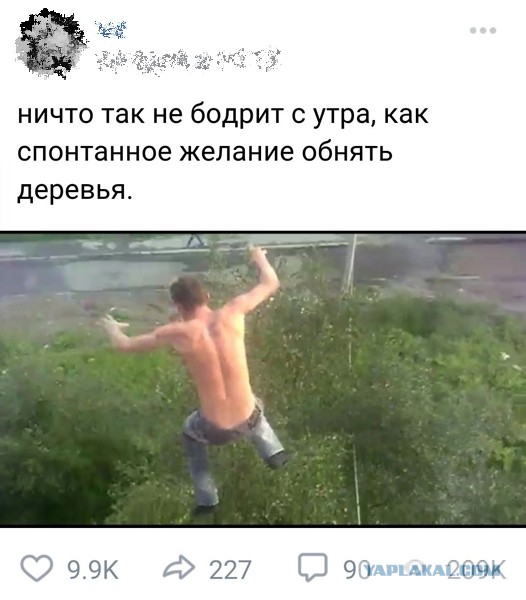Чернушка к пятничке