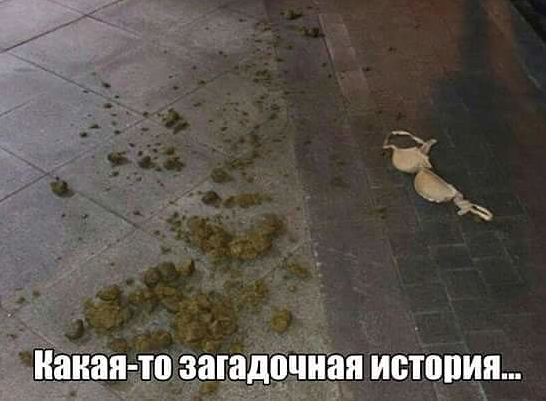 Чуток картинок  26.06.19