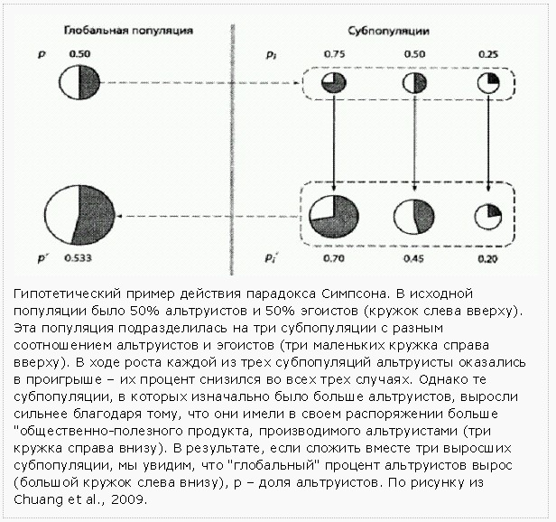 Все «недостающие звенья» в эволюционной цепочке от приматов к человеку найдены