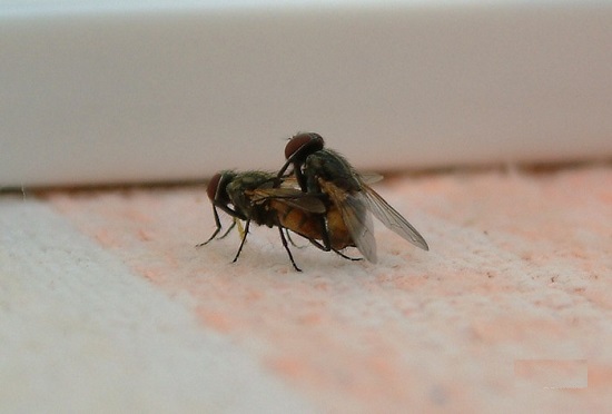 Казахстан, Караганда, центр города 18+